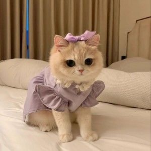 Meet your Posher, Isabelle